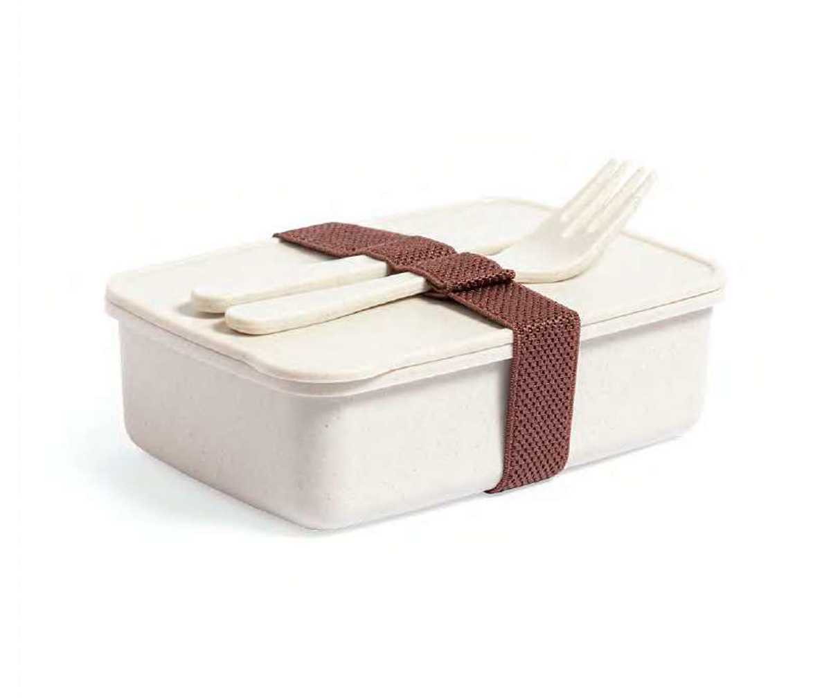 Eco-Friendly Lunch Boxes