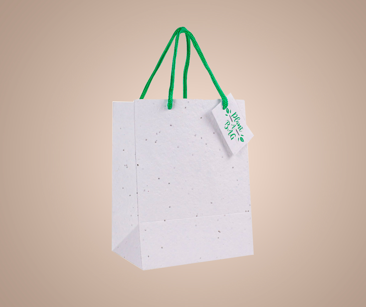 Paper Bags